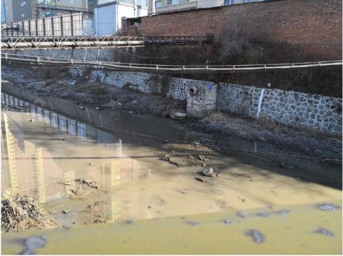 图3 仙人河河道淤泥沉积，排污口未进行整治