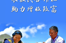 西藏将打造700家以上资产过百万元农牧民合作社