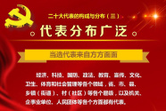 中央组织部负责人就党的二十大代表选举工作情况答新华社记者问