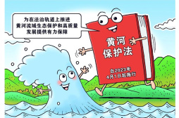 我國出臺黃河保護法守護母親河