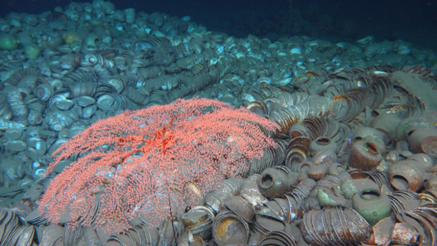南海西北陸坡沉船遺址第一階段調查：最新海底畫面來了！